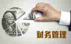 2024年财务个人述职报告推荐5篇