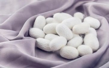 蚕读后感三十字6篇