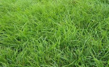 草船借箭读后感500字8篇