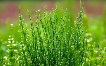 烟草公司述职报告8篇