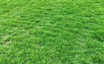 草房子的读后感400字最新5篇