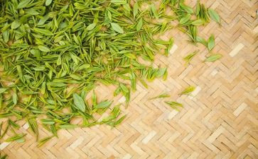 关于茶的英语演讲稿5篇
