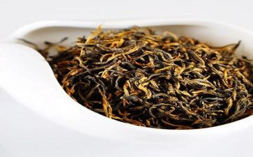 茶经读后感1000字最新7篇