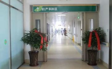 产科实习月总结8篇