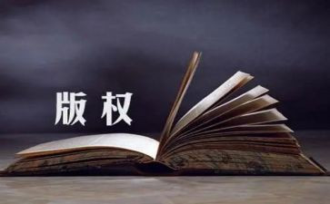 打击知识产权工作总结5篇