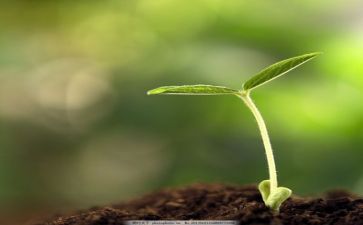 我的成长记作文400字通用8篇