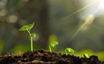 成长感悟类的优秀作文6篇