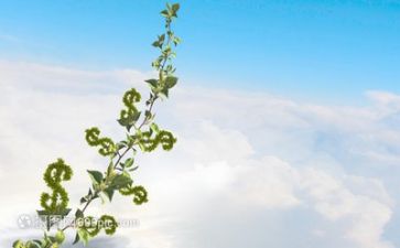我的2024成长记作文400字8篇
