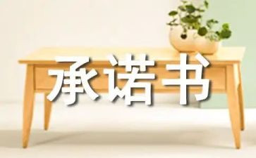 年度承诺书8篇