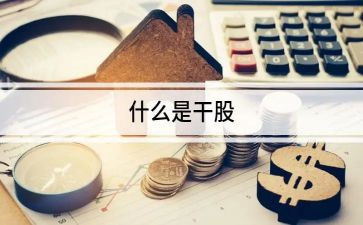 持干股的合同6篇
