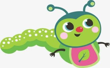 昆虫作文800字5篇