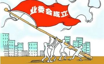 局筹建组工作总结5篇