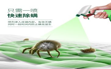 除螨活动方案5篇