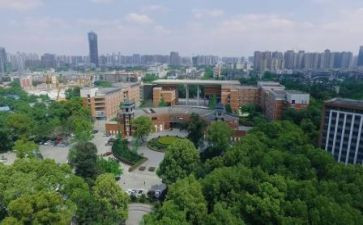 川大实践报告最新8篇