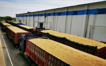 疫情防控物资储备方案范文6篇