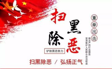 黑除恶心得体会7篇