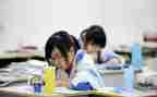 2024初中生物教学总结优秀6篇