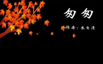 读匆匆读后感300字6篇