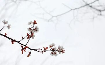 匆匆的教案5篇