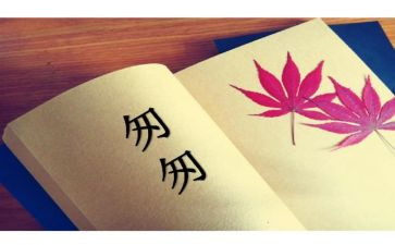 匆匆的读后感800字6篇