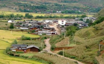 对村调研报告范文最新5篇
