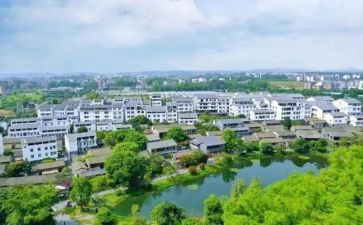 农业农村局年度工作总结6篇