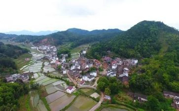 普通村干部述职报告6篇