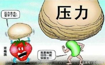 当挫折的时候作文通用5篇