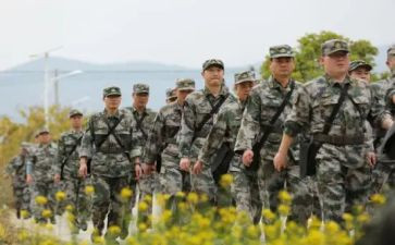 实习带队老师实习总结7篇