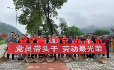 带头人工作计划7篇