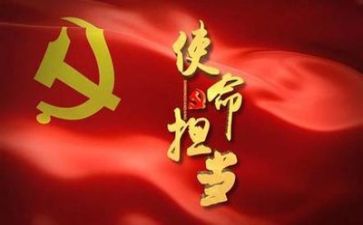 党日活动心得体会范文通用8篇