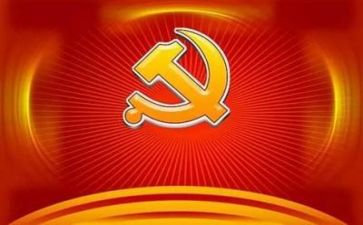 党训个人总结报告推荐8篇