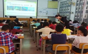 指导课心得体会参考8篇
