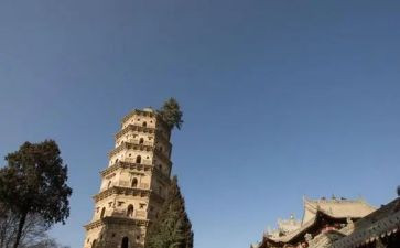 《道士塔》读后感8篇