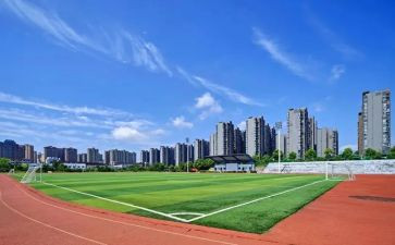 2023大学党章学习心得7篇