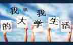 大学在学习上个人总结6篇