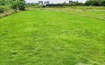 学地理工作总结精选8篇