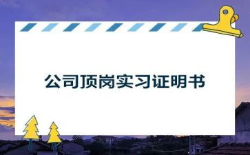 学生顶岗实习总结7篇