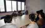 大学顶岗实习总结6篇