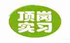 大学生顶岗月总结8篇