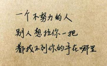 她让我懂了作文600字推荐7篇