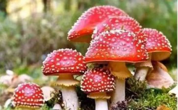 禁毒后心得体会500字6篇