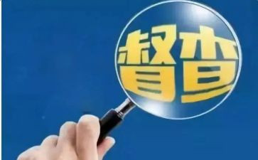 督查室工作总结8篇