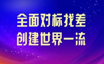 小学对标教学活动总结5篇