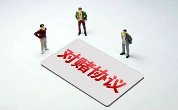 对赌活动方案模板8篇