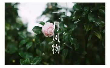 大班十二月份月计划8篇