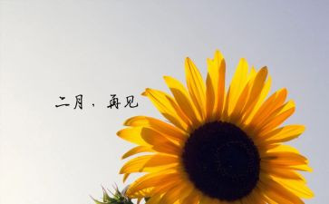 大班十二月份月工作计划8篇
