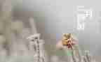幼儿园十二月工作总结6篇