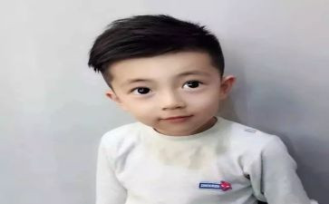 儿子的作文5篇