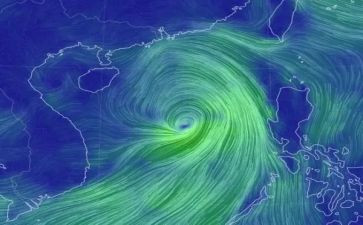 防台风总结报告6篇